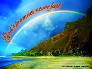 God's Promise
